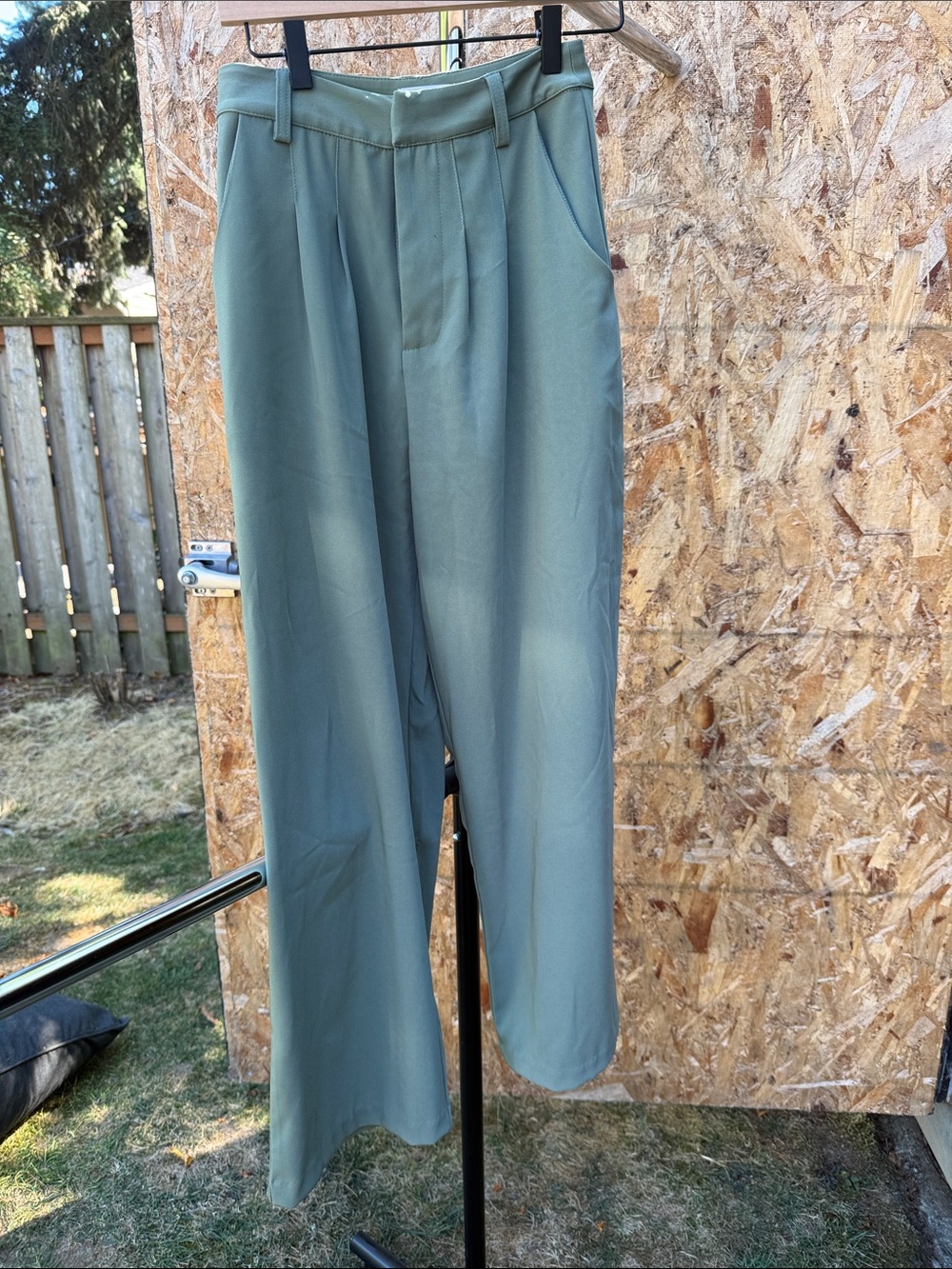 Sage Women’s Pleated Dress Pants by Sage - Soft Green